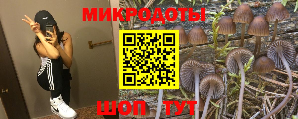 закладка  Псилоцибиновые грибы мухоморы  Вход с VPN  Нарткала 
